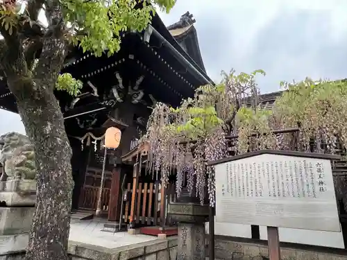六孫王神社(京都府)
