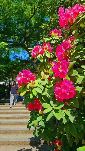 岡寺（龍蓋寺）(奈良県)