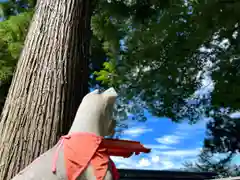 冨士山稲荷神社(長野県)