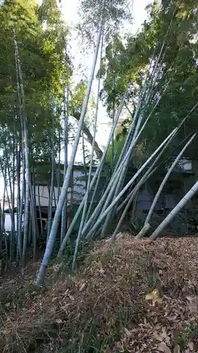 法安寺の庭園