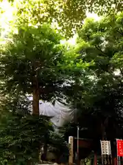 洲崎神社の建物その他