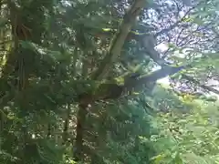 諏訪神社(神奈川県)