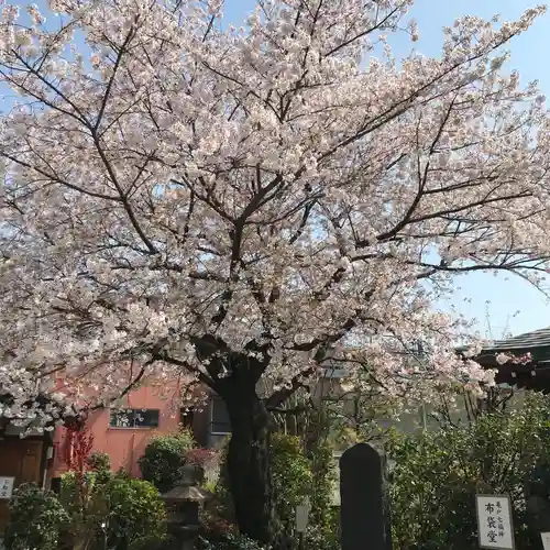 龍眼寺（萩寺）の自然