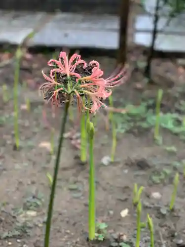 横浜　西方寺の自然