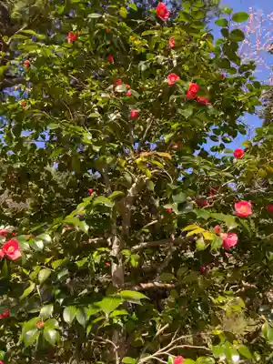 神藏寺(京都府)