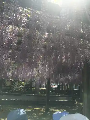 禎祥寺(愛媛県)
