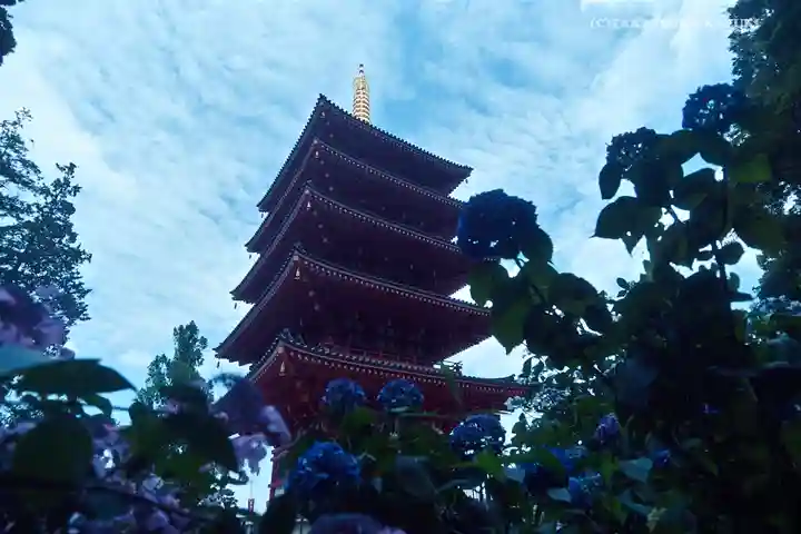 高幡不動尊 金剛寺の塔