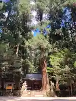 室生龍穴神社 奥宮のその他建物