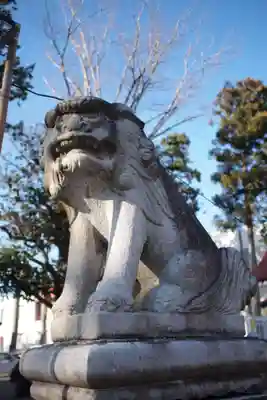 諏訪八幡神社の狛犬