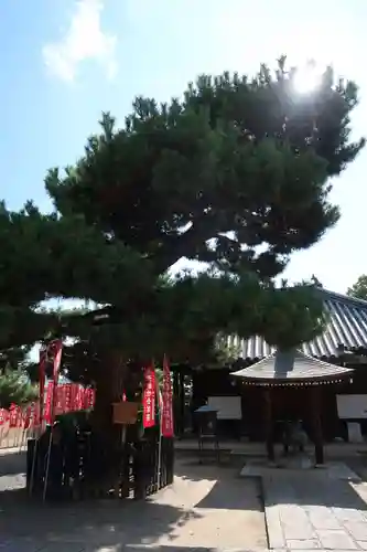 葛井寺(大阪府)