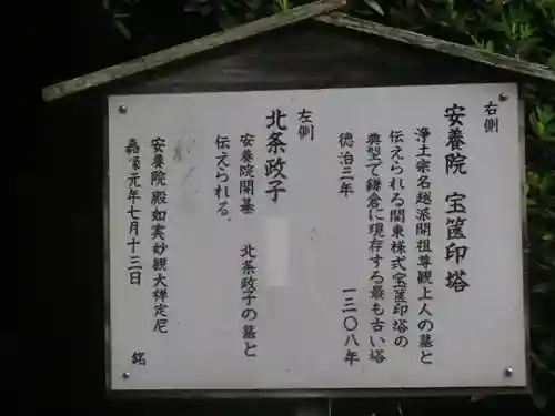 安養院　(田代寺）(神奈川県)