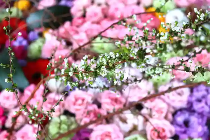 三津厳島神社の手水舎