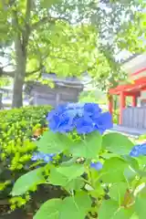 高幡不動尊　金剛寺(東京都)