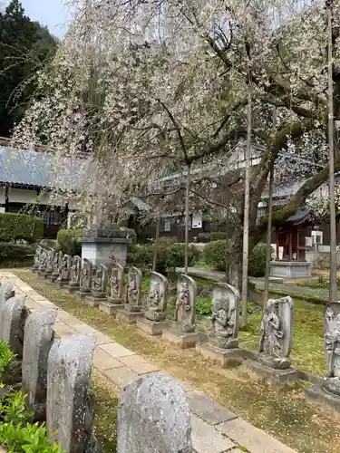 通安寺の仏像