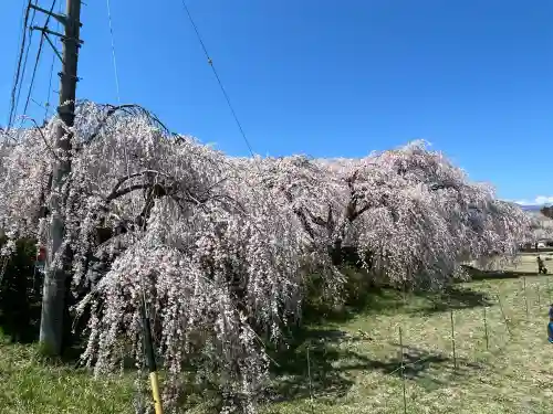 安養寺の{uncategorized: "未分類", other: "その他", undefined: "問題あり", building: "その他建物", grave: "お墓", sacred_gate: "鳥居", guardian: "狛犬", statue: "像", buddha: "仏像", history: "歴史", nature: "自然", garden: "庭園", animal: "動物", pagoda: "塔", temizu: "手水舎", mountain_gate: "山門・神門", sanctuary: "本殿・本堂", subordinate: "末社・摂社", art: "芸術", scenery: "景色", jizo: "地蔵", ema: "絵馬", goshuin: "御朱印", omikuji: "おみくじ", items: "授与品その他", amulet: "お守り", goshuincho: "御朱印帳", eats: "食事", festival: "お祭り", votive_dance: "神楽", shichigosan: "七五三参", wedding: "結婚式", experience: "体験その他", initially: "初詣", around: "周辺", anti_infection: "感染症対策"}
