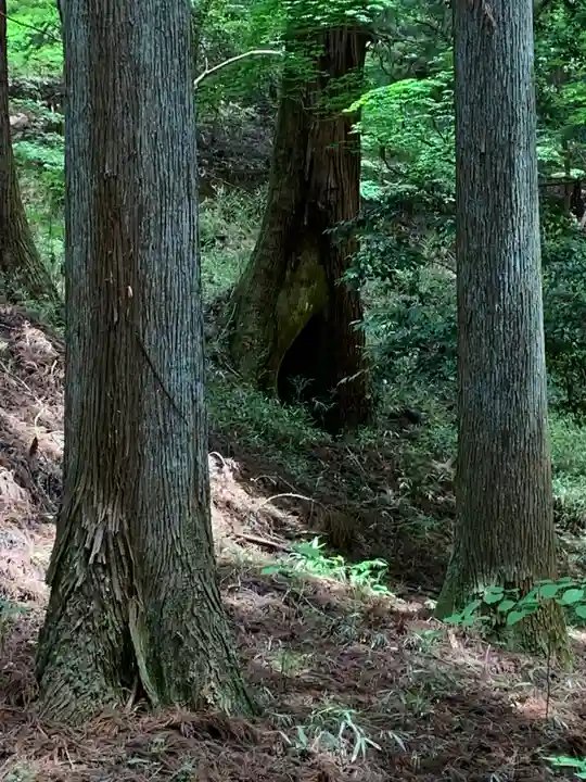 赤城神社(三夜沢町)(群馬県)