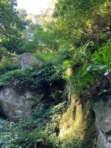 宝珠山 立石寺の自然
