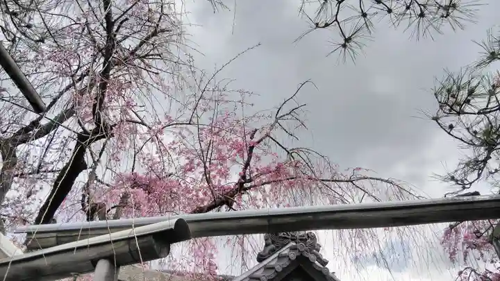 雨宝院のその他建物