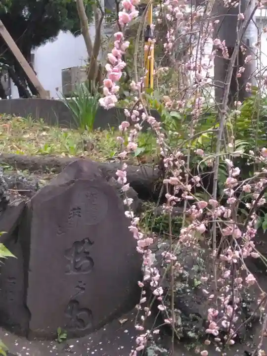 岡村天満宮(神奈川県)
