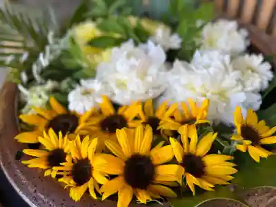 札幌護國神社の手水舎