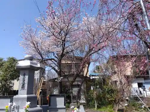 法顕寺(新潟県)