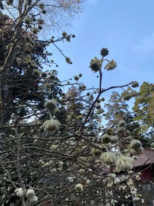 芳賀天満宮(栃木県)