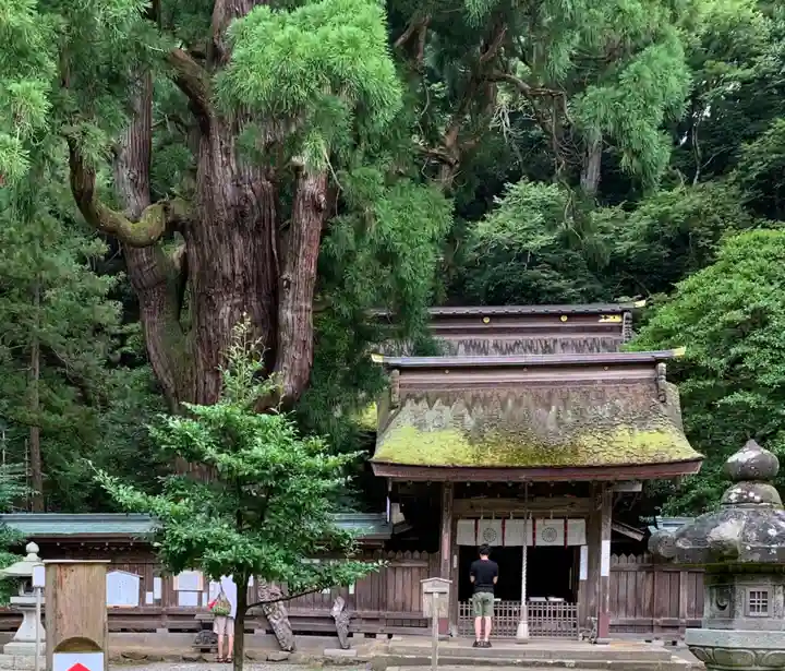 若狭姫神社(若狭彦神社下社)の山門・神門