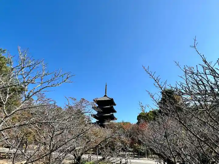 仁和寺(京都府)
