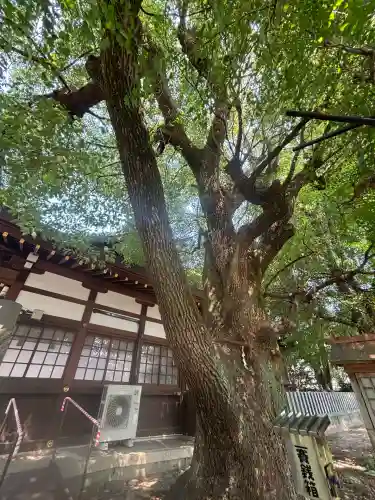 多奈波太神社の自然