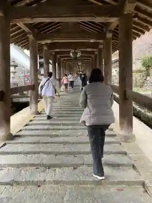 長谷寺の本殿・本堂