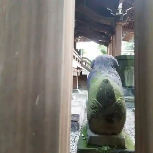 牛嶋神社の狛犬