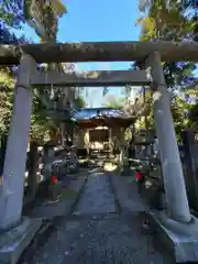 茶釜稲荷神社(茨城県)