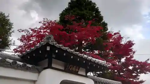 天龍寺の{uncategorized: "未分類", other: "その他", undefined: "問題あり", building: "その他建物", grave: "お墓", sacred_gate: "鳥居", guardian: "狛犬", statue: "像", buddha: "仏像", history: "歴史", nature: "自然", garden: "庭園", animal: "動物", pagoda: "塔", temizu: "手水舎", mountain_gate: "山門・神門", sanctuary: "本殿・本堂", subordinate: "末社・摂社", art: "芸術", scenery: "景色", jizo: "地蔵", ema: "絵馬", goshuin: "御朱印", omikuji: "おみくじ", items: "授与品その他", amulet: "お守り", goshuincho: "御朱印帳", eats: "食事", festival: "お祭り", votive_dance: "神楽", shichigosan: "七五三参", wedding: "結婚式", experience: "体験その他", initially: "初詣", around: "周辺", anti_infection: "感染症対策"}