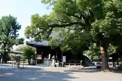 斑鳩寺の建物その他