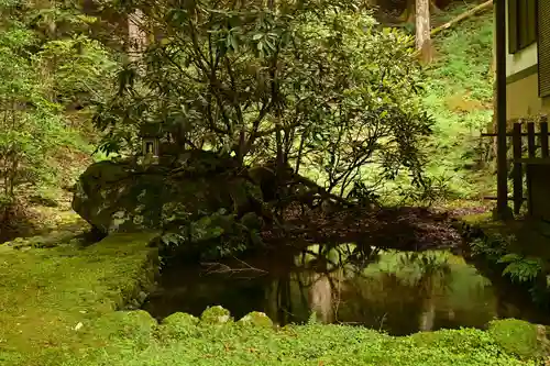 悲願寺(徳島県)