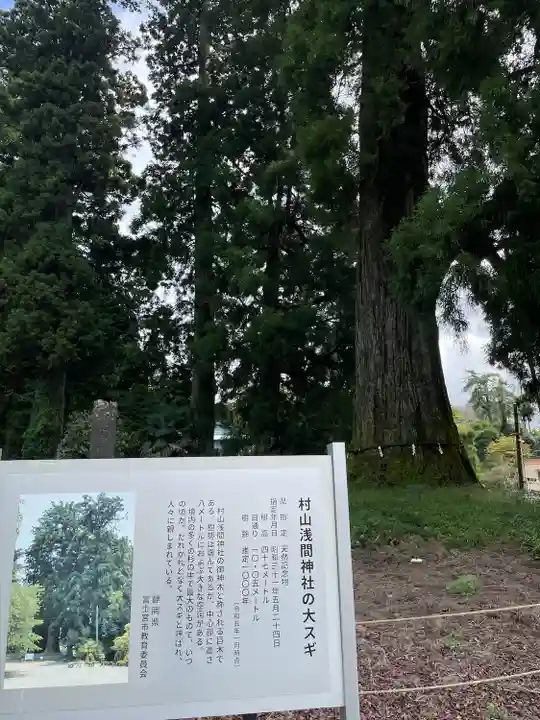 村山浅間神社(静岡県)
