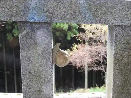 焼山寺(徳島県)