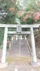 西宮神社の鳥居