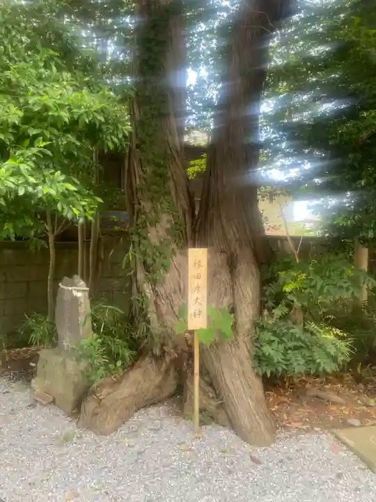 星宮神社(栃木県)