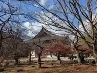 東寺(教王護国寺)(京都府)