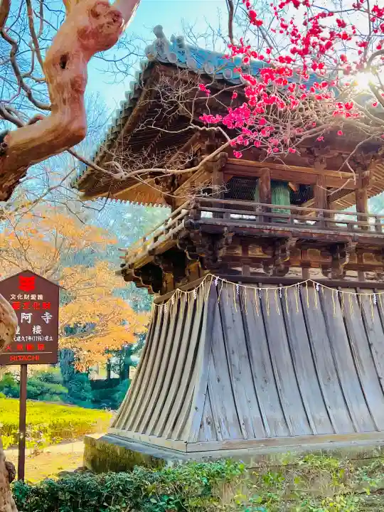鑁阿寺の{uncategorized: "未分類", other: "その他", undefined: "問題あり", building: "その他建物", grave: "お墓", sacred_gate: "鳥居", guardian: "狛犬", statue: "像", buddha: "仏像", history: "歴史", nature: "自然", garden: "庭園", animal: "動物", pagoda: "塔", temizu: "手水舎", mountain_gate: "山門・神門", sanctuary: "本殿・本堂", subordinate: "末社・摂社", art: "芸術", scenery: "景色", jizo: "地蔵", ema: "絵馬", goshuin: "御朱印", omikuji: "おみくじ", items: "授与品その他", amulet: "お守り", goshuincho: "御朱印帳", eats: "食事", festival: "お祭り", votive_dance: "神楽", shichigosan: "七五三参", wedding: "結婚式", experience: "体験その他", initially: "初詣", around: "周辺", anti_infection: "感染症対策"}