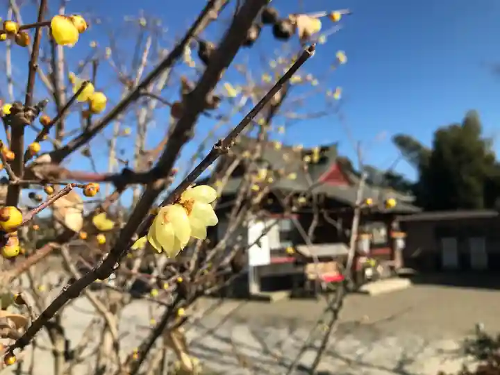 鶴峯八幡宮(千葉県)