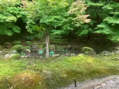 常高寺(福井県)