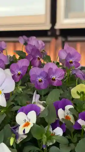 東郷寺(東京都)