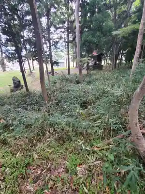 大星神社(長野県)