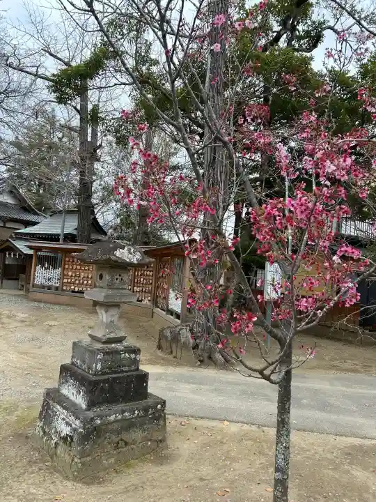 橘樹神社の{uncategorized: "未分類", other: "その他", undefined: "問題あり", building: "その他建物", grave: "お墓", sacred_gate: "鳥居", guardian: "狛犬", statue: "像", buddha: "仏像", history: "歴史", nature: "自然", garden: "庭園", animal: "動物", pagoda: "塔", temizu: "手水舎", mountain_gate: "山門・神門", sanctuary: "本殿・本堂", subordinate: "末社・摂社", art: "芸術", scenery: "景色", jizo: "地蔵", ema: "絵馬", goshuin: "御朱印", omikuji: "おみくじ", items: "授与品その他", amulet: "お守り", goshuincho: "御朱印帳", eats: "食事", festival: "お祭り", votive_dance: "神楽", shichigosan: "七五三参", wedding: "結婚式", experience: "体験その他", initially: "初詣", around: "周辺", anti_infection: "感染症対策"}