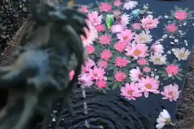 大鏑神社の手水舎