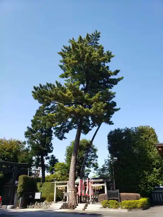 中野沼袋氷川神社(東京都)