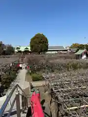 亀戸天神社(東京都)