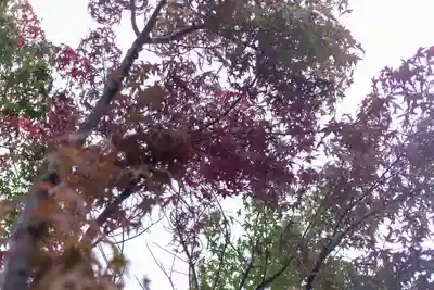 諏訪大社上社前宮(長野県)